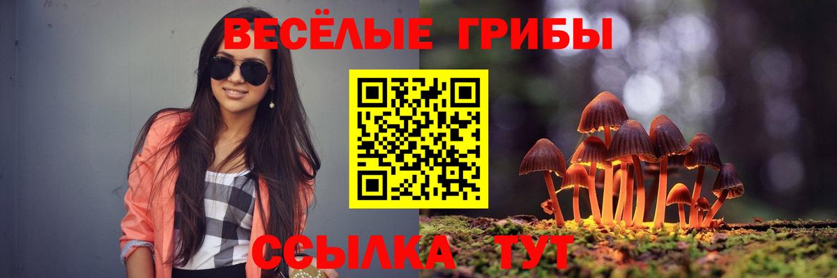 Псилоцибиновые грибы ЛСД  Псилоцибиновые грибы мухоморы  Вход с VPN  Улан-Удэ 